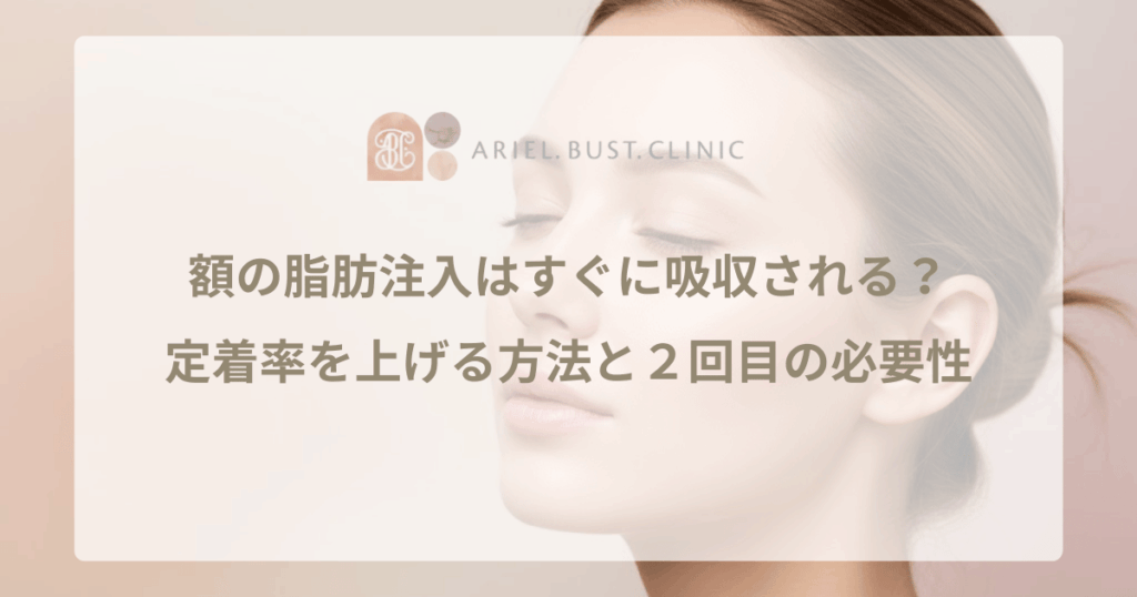 額の脂肪注入はすぐに吸収される？定着率を上げる方法と２回目の必要性