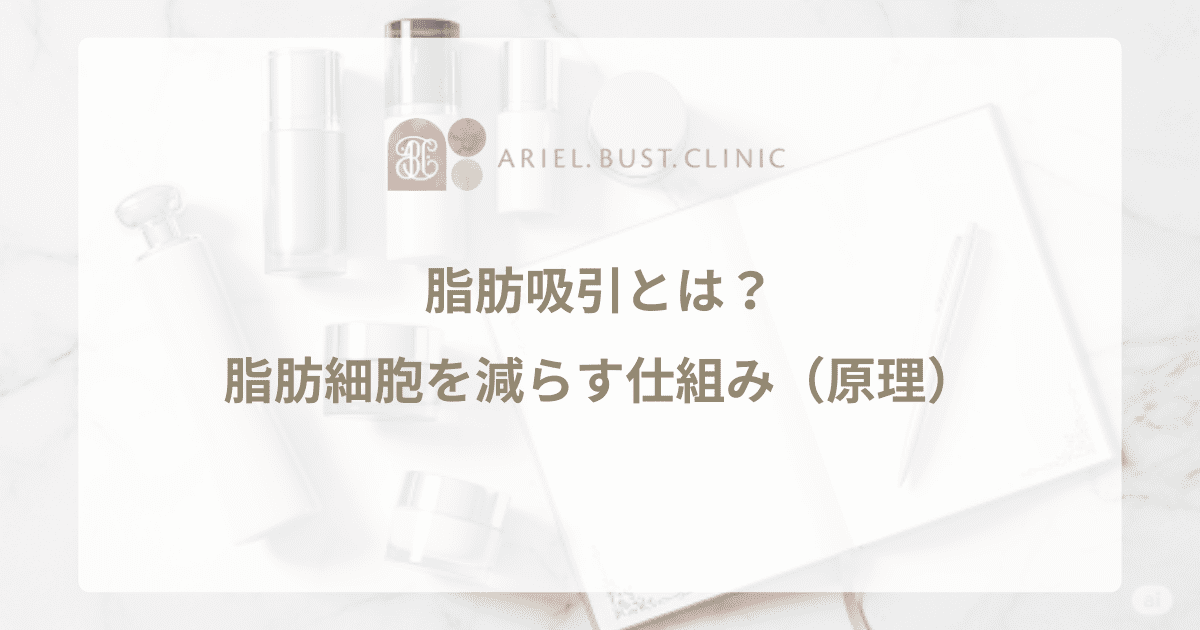 脂肪吸引とは？脂肪細胞を減らす仕組み（原理）と、手術の基本的なやり方をわかりやすく解説