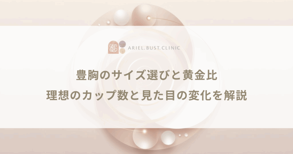 豊胸のサイズ選びと黄金比｜理想のカップ数と見た目の変化を解説