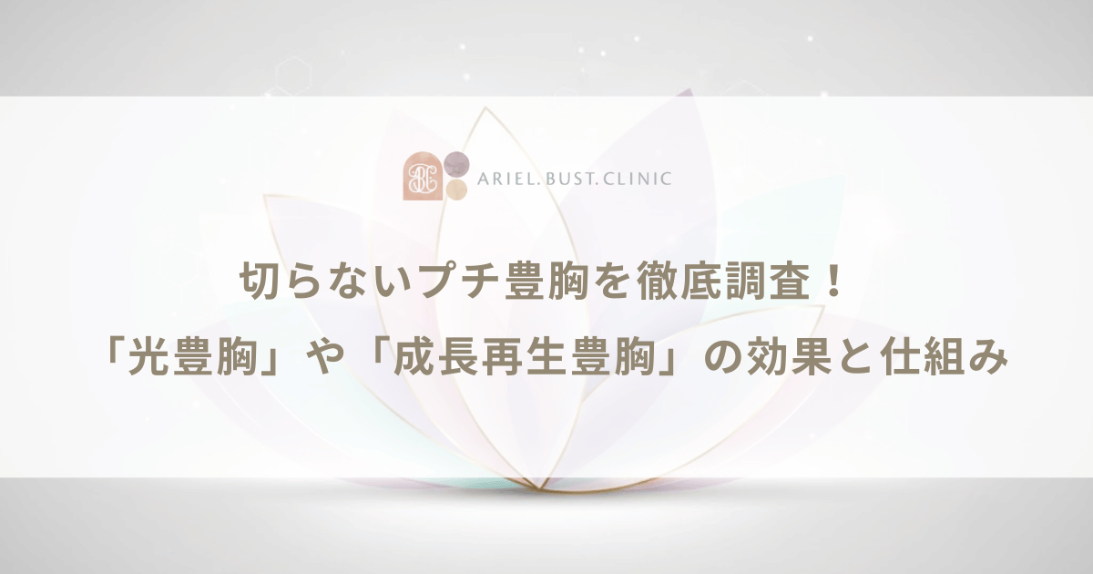 切らないプチ豊胸を徹底調査!「光豊胸」や「成長再生豊胸」の効果と仕組み