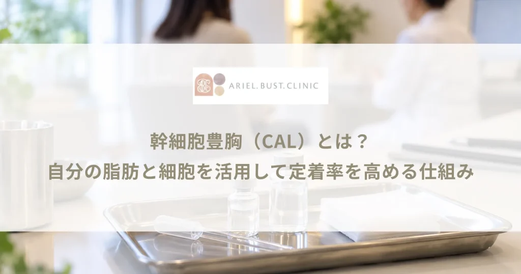 幹細胞豊胸（CAL）とは？自分の脂肪と細胞を活用して定着率を高める仕組み
