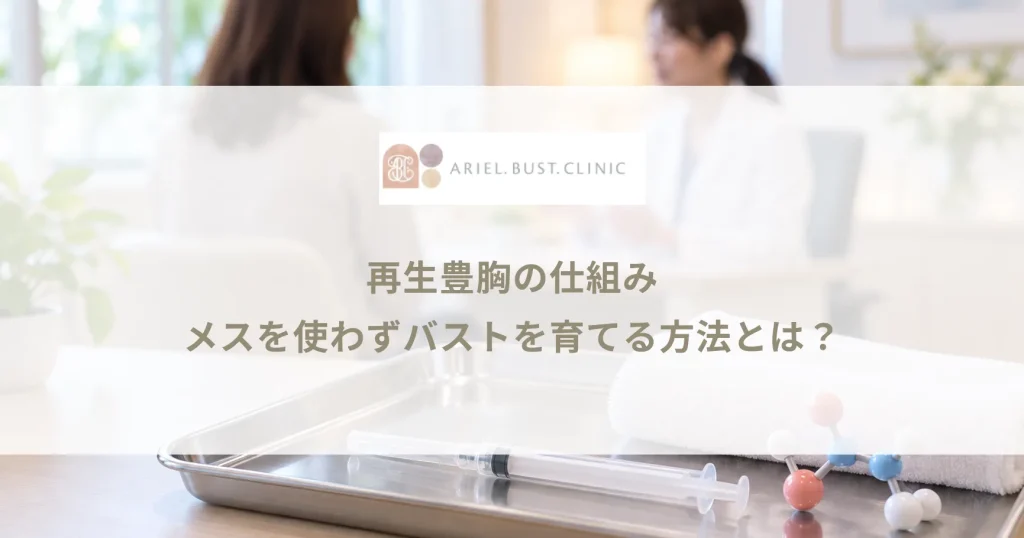 再生豊胸の仕組み｜メスを使わずバストを育てる方法とは？